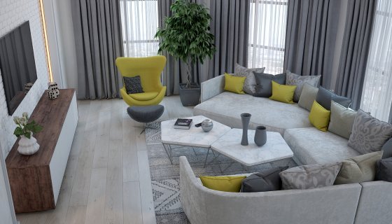 Fərdi yaşayış evi Zal dizaynı